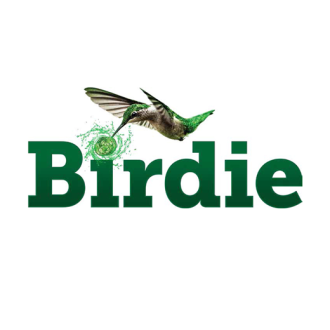 버디